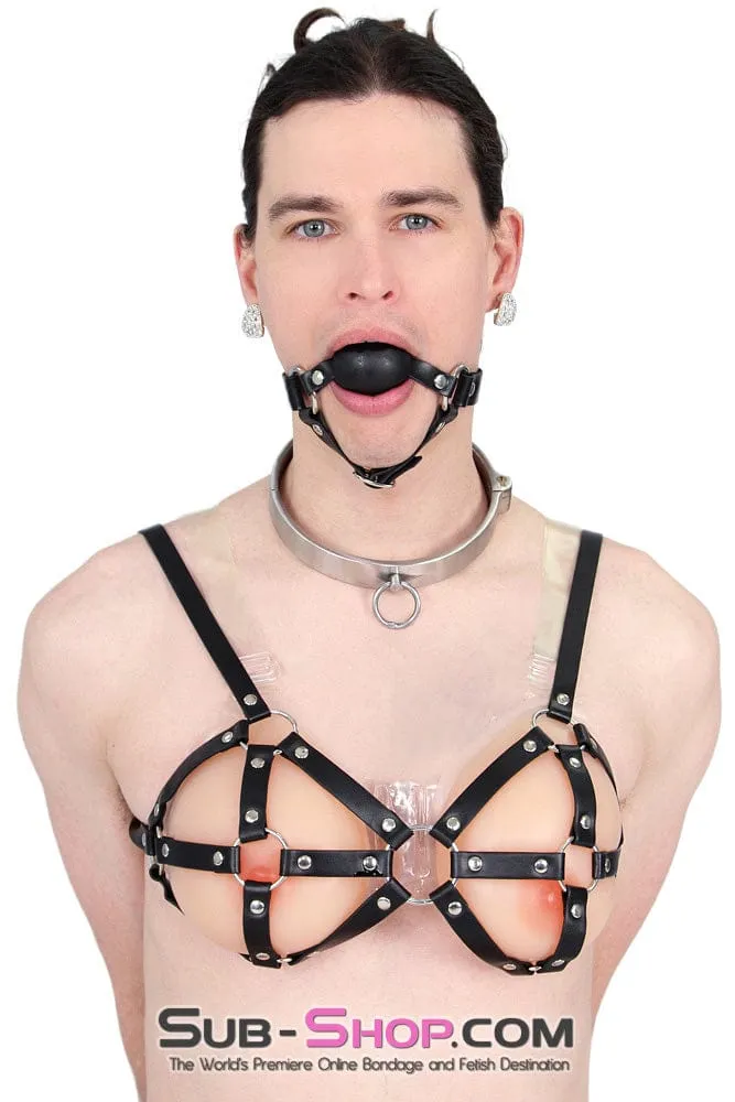 0634AR-SIS      Stainless Steel Lock Domme and Keys Sissy Boi Bondage Slave Collar