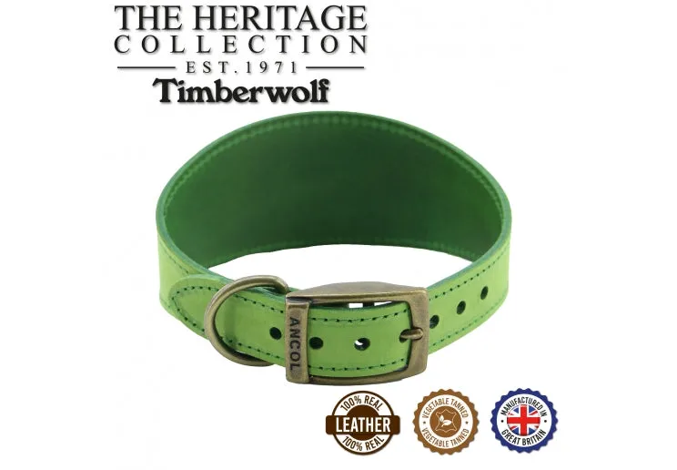 Ancol - Timberwolf Leather Hound Collar - Green - Greyhound (34-43cm)