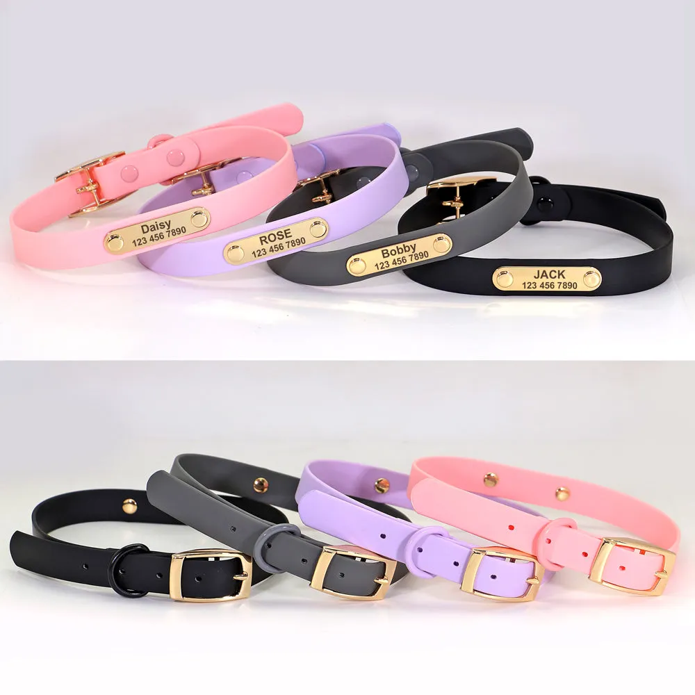 Custom Engraved French Bulldog Collar Leash Set (WJ72)