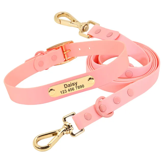 Custom Engraved French Bulldog Collar Leash Set (WJ72)