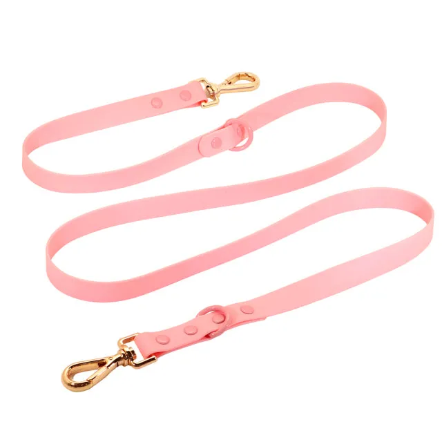 Custom Engraved French Bulldog Collar Leash Set (WJ72)