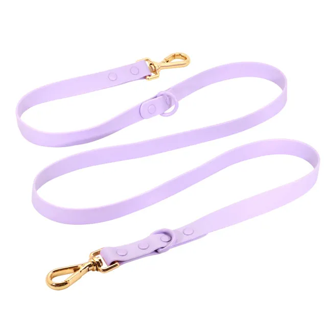 Custom Engraved French Bulldog Collar Leash Set (WJ72)