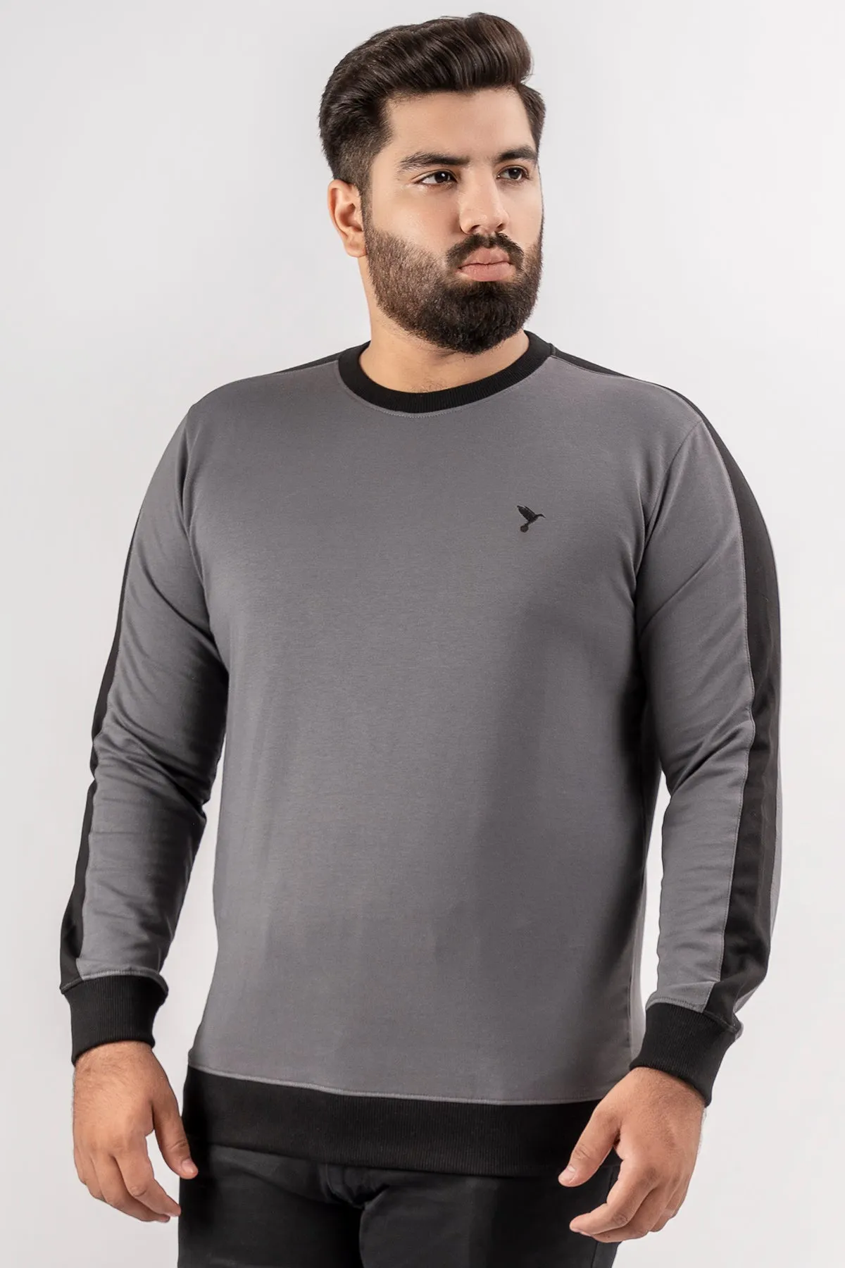 Dark Grey Cut & Sew Sweatshirt (Plus Size) - S24 - MSW095P