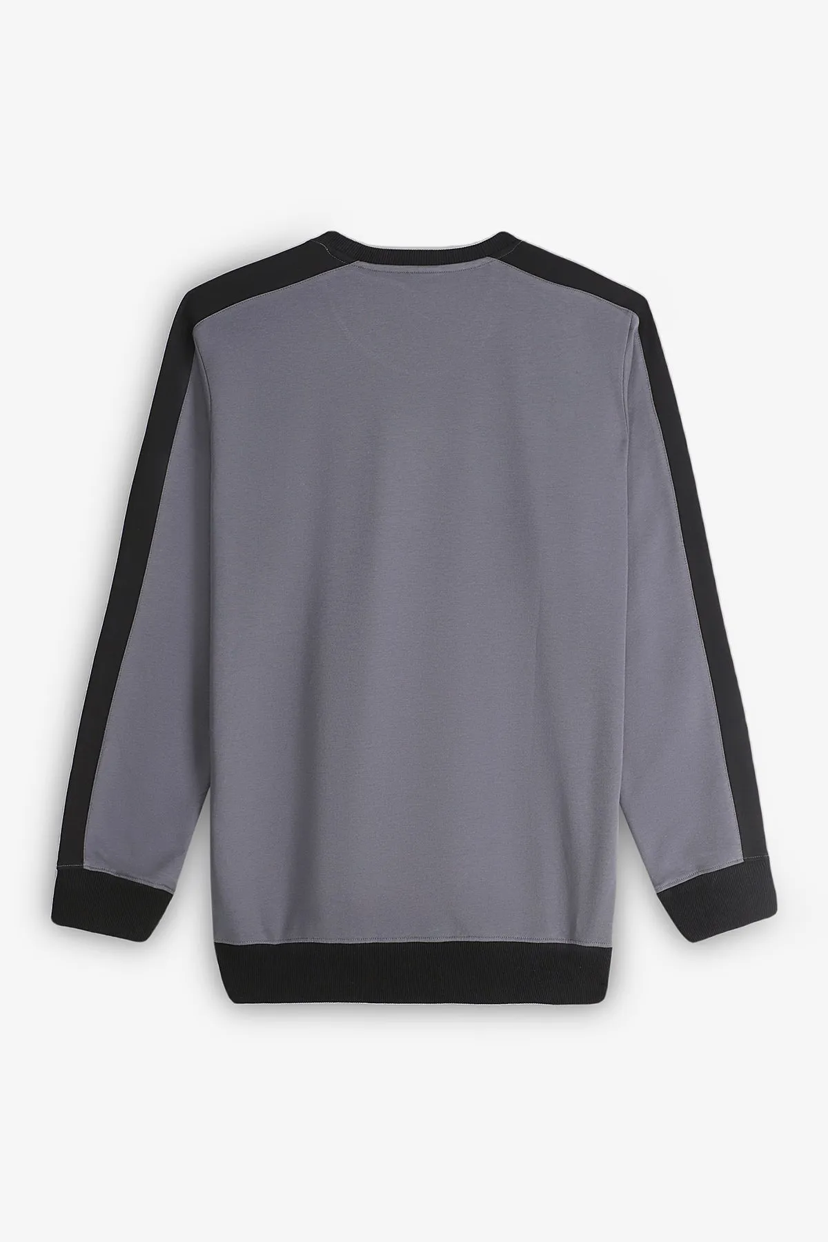 Dark Grey Cut & Sew Sweatshirt (Plus Size) - S24 - MSW095P