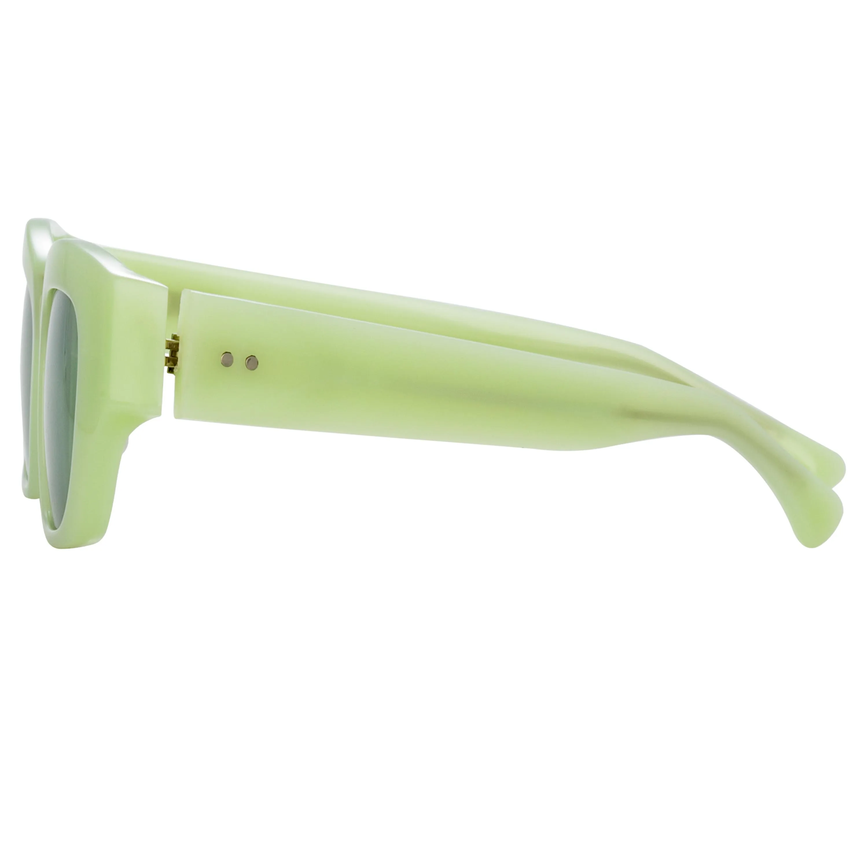 Dries Van Noten Ladies Cat Eye Green Sunglasses DVN202C1SUN