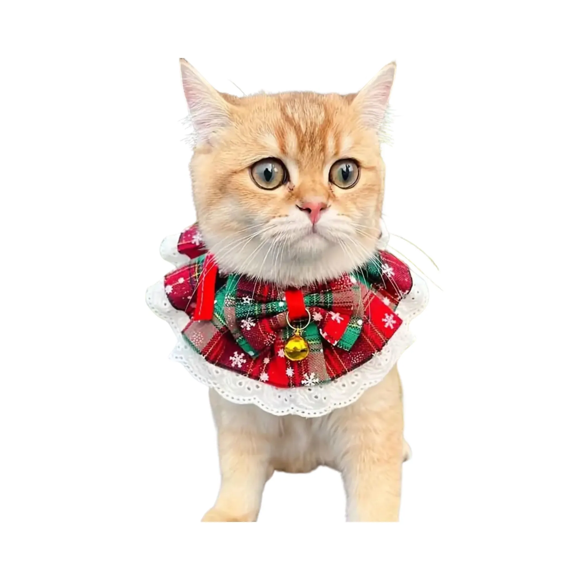 Festive Cat Collar With Santa - Medium