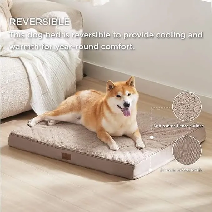 Large Orthopedic Washable Dog Bed S