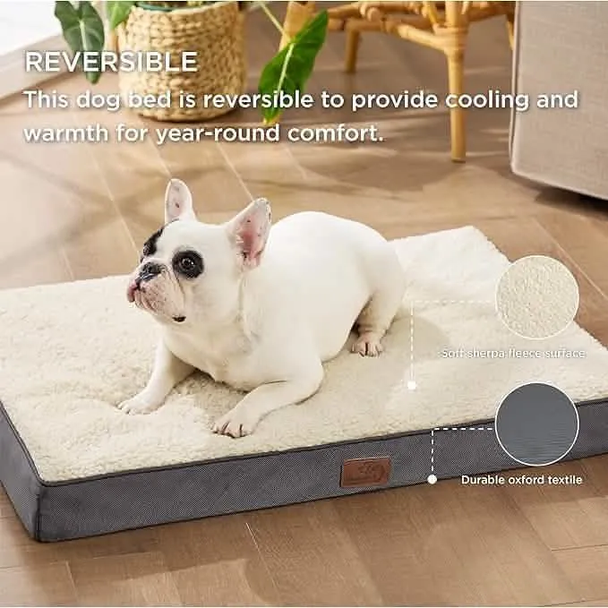 Large Orthopedic Washable Dog Bed S