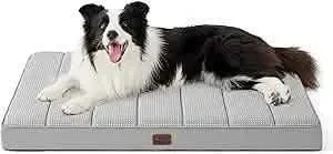 Large Orthopedic Washable Dog Bed S