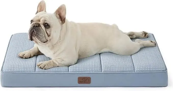 Large Orthopedic Washable Dog Bed S