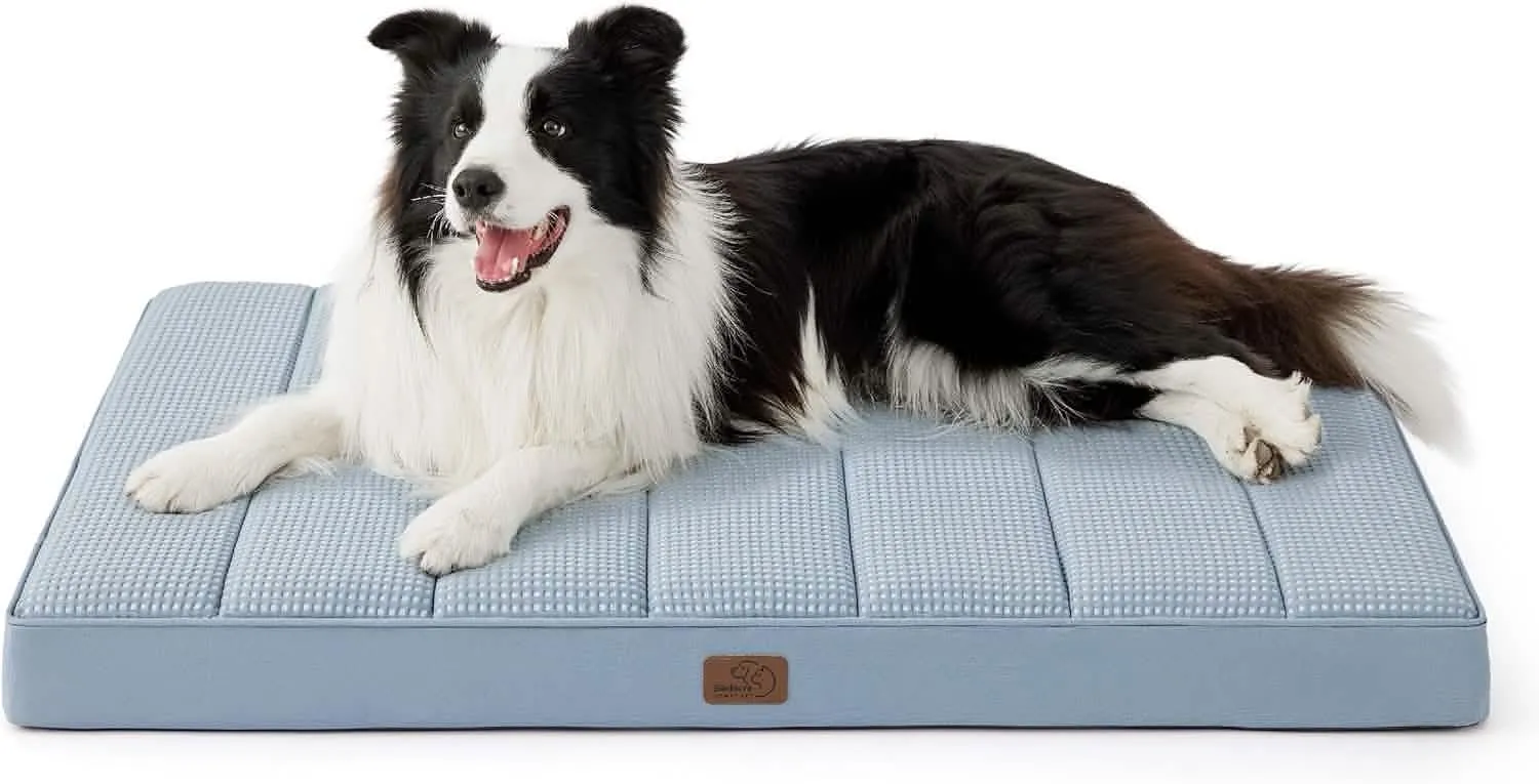 Large Orthopedic Washable Dog Bed S