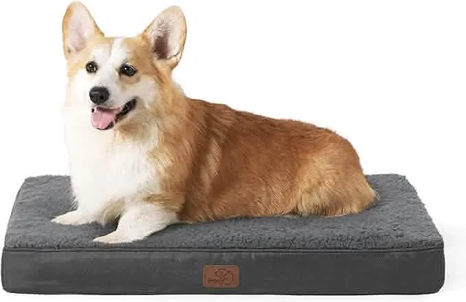 Large Orthopedic Washable Dog Bed S