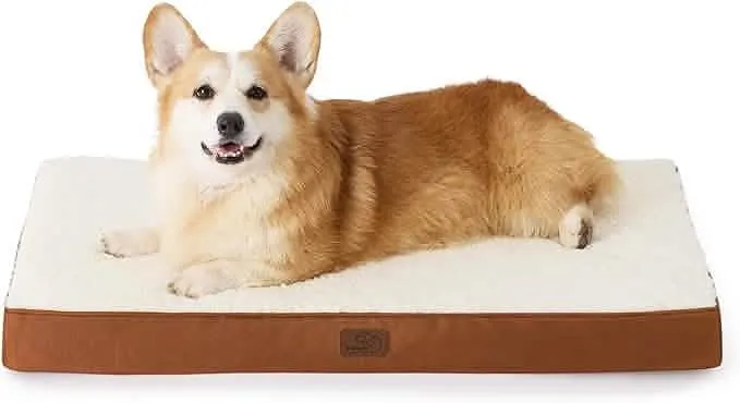 Large Orthopedic Washable Dog Bed S