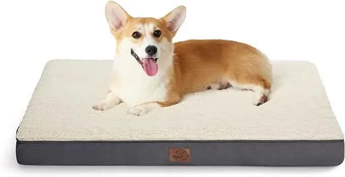 Large Orthopedic Washable Dog Bed S