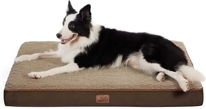 Large Orthopedic Washable Dog Bed S