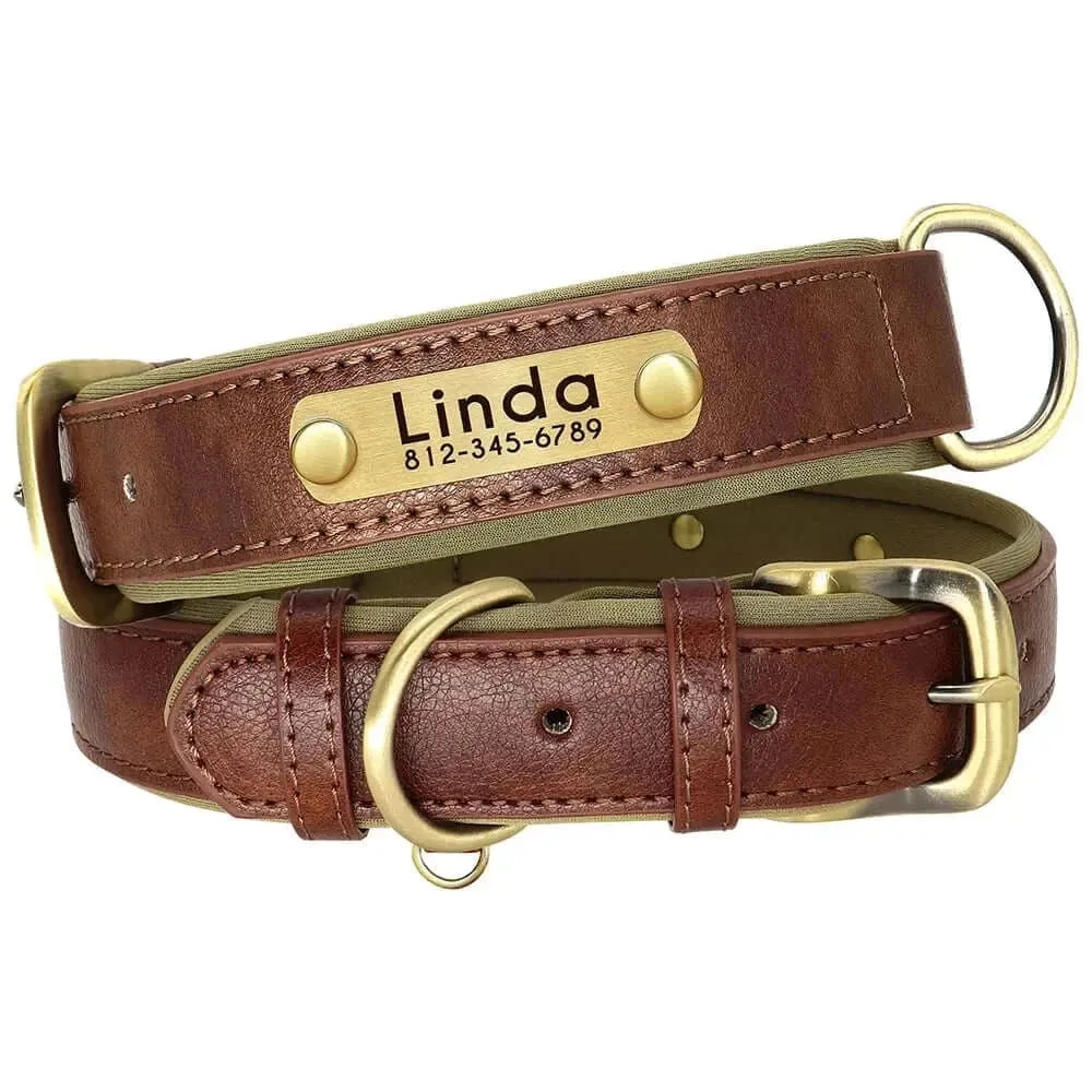 Personalized Dog Collar & Leash Set –  Leather Soft, Stylish, and Engraved