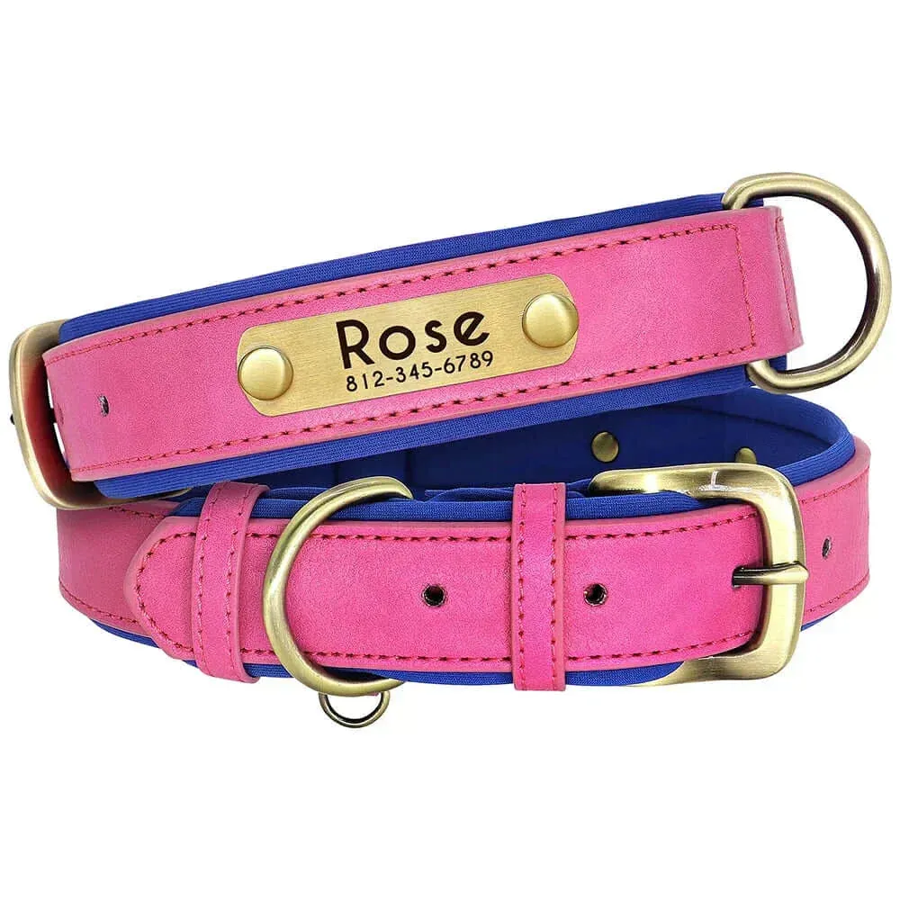 Personalized Dog Collar & Leash Set –  Leather Soft, Stylish, and Engraved