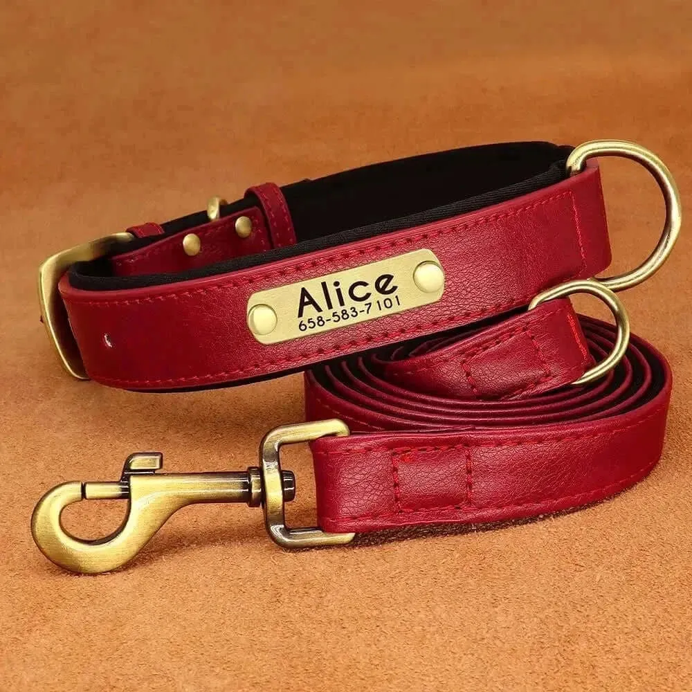 Personalized Dog Collar & Leash Set –  Leather Soft, Stylish, and Engraved