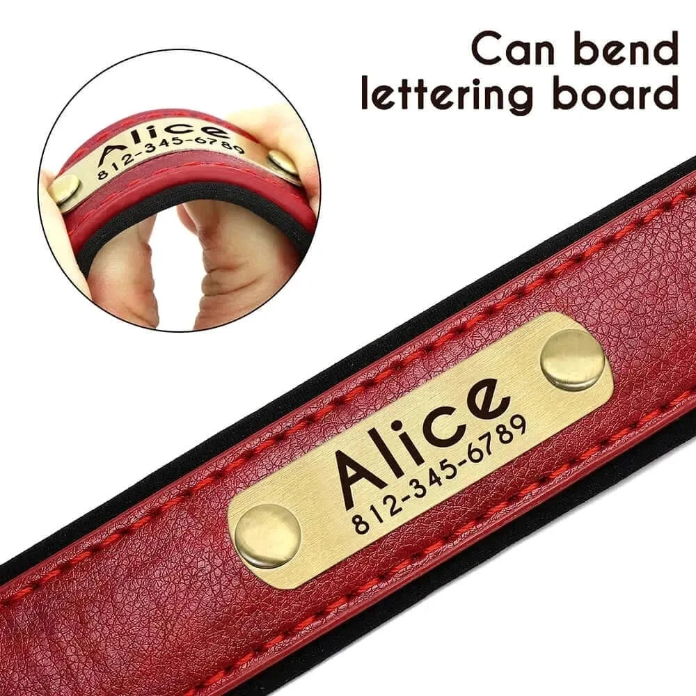 Personalized Dog Collar & Leash Set –  Leather Soft, Stylish, and Engraved