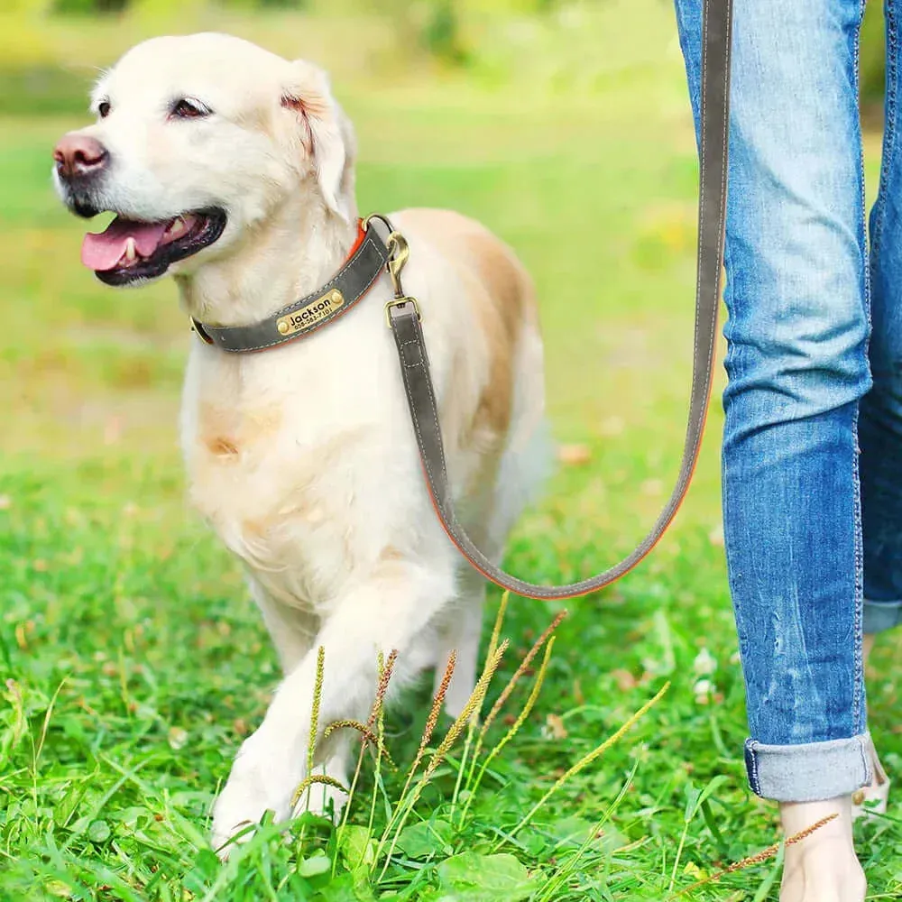 Personalized Dog Collar & Leash Set –  Leather Soft, Stylish, and Engraved