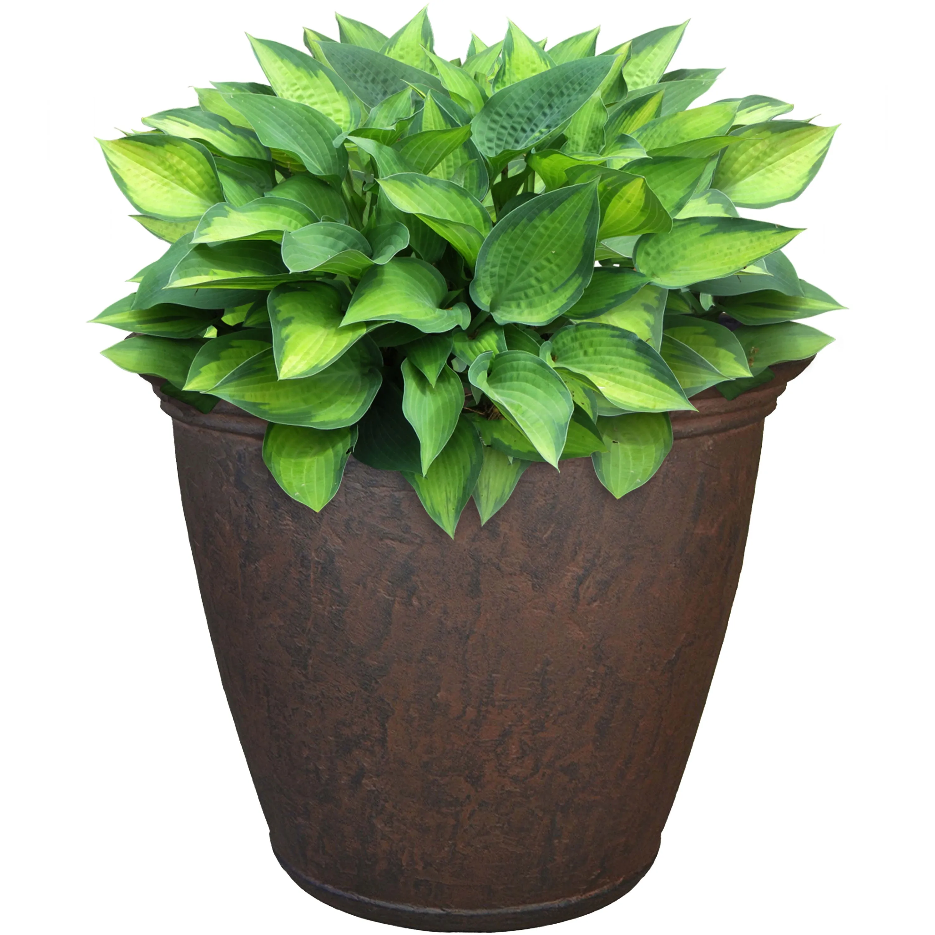 Sunnydaze Anjelica Outdoor Resin Planter - 15.25" Diameter