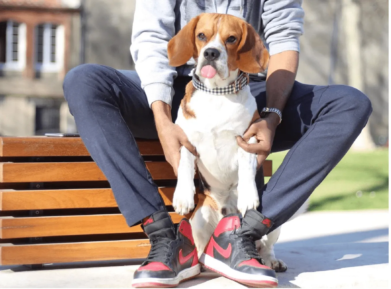 THE BESTIE COLLAR COLLECTION