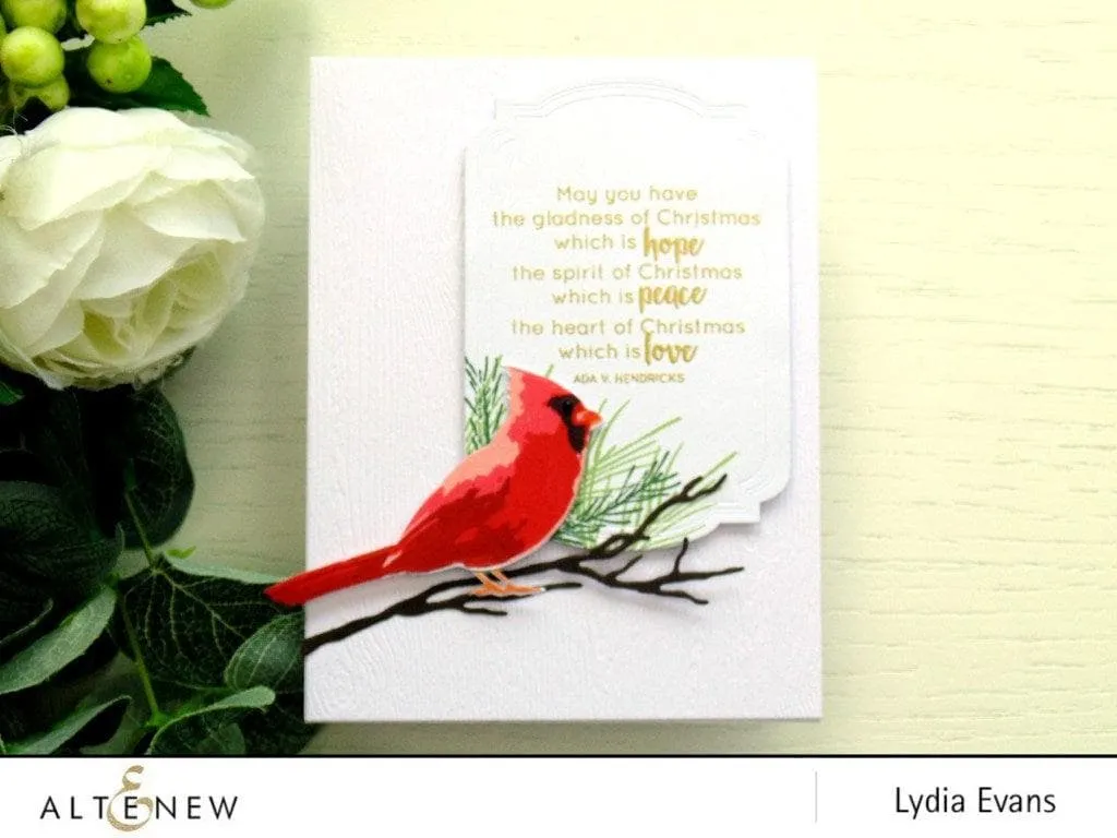 Winter Cardinal